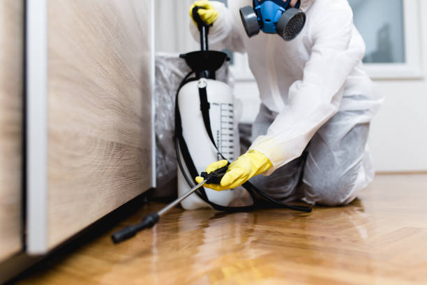 Best Pest Removal Services  in Orchard Homes, MT