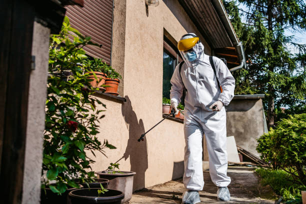 Wasp Removal Services in Orchard Homes, MT