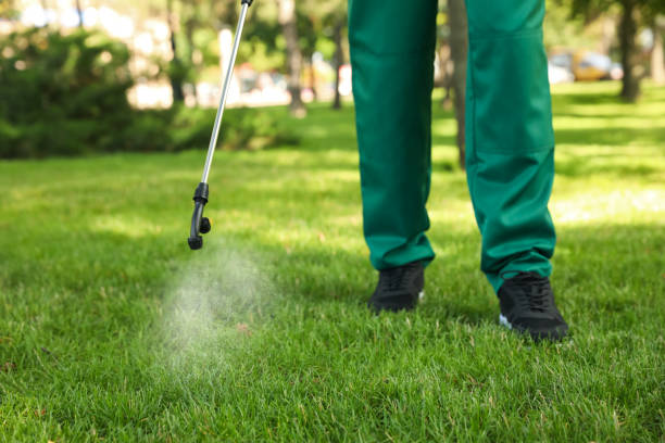 Best Bed Bug Extermination  in Orchard Homes, MT