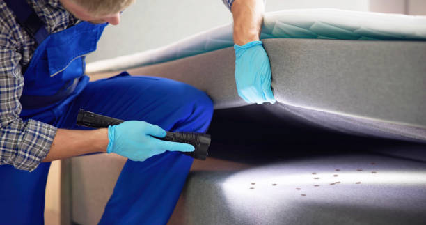 Best Pest Removal Services  in Orchard Homes, MT