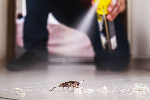 Best Bed Bug Extermination  in Orchard Homes, MT